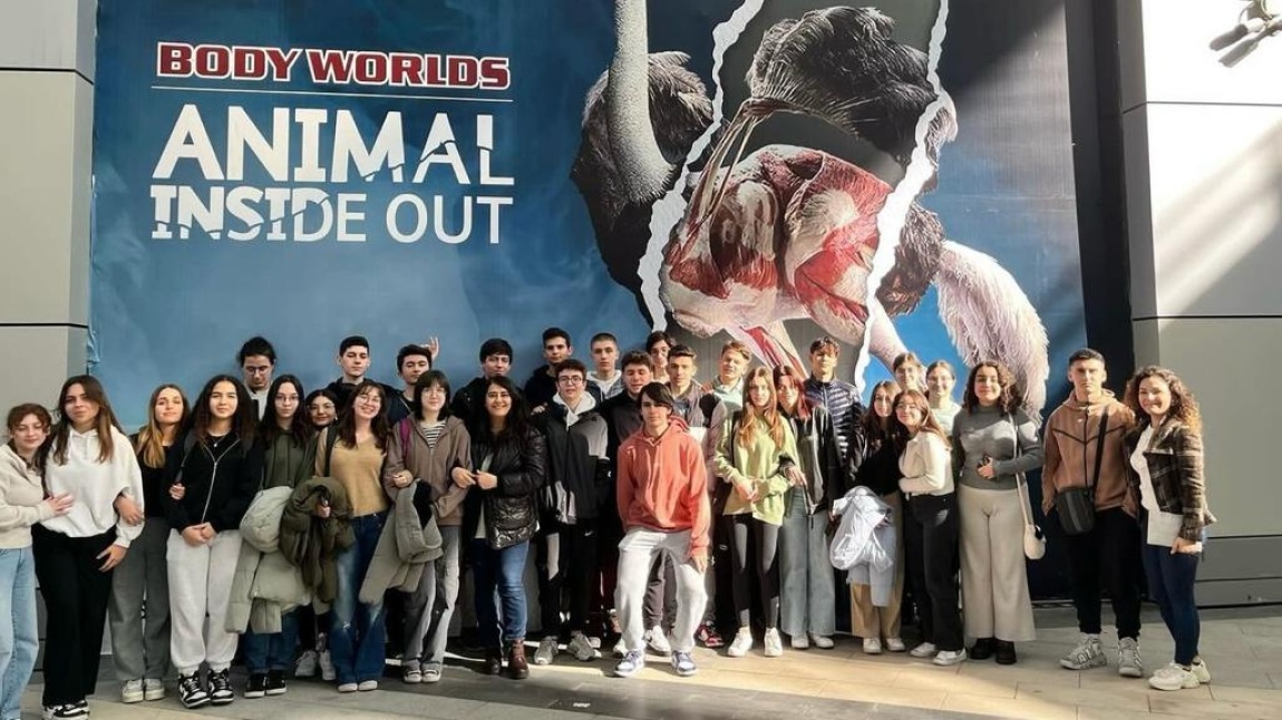 Body Worlds Animal Inside Out Sergisi